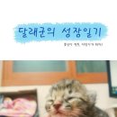 부산/3개월 남아1/사료잘먹는 달래군의 성장일기 + 부모느님 어디계세요~ 이미지