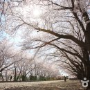 베베토피아 이미지