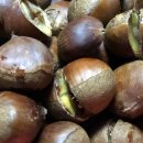 김학동한의원 이미지