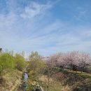 노작공원(오산천변) 네이버블로그