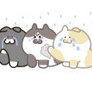 제이미살롱 이미지