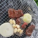 삼막골카라반펜션 | 경주 삼막골 카라반 펜션 다녀온후기 🌳😊