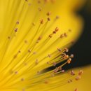 청운자동차공업사 이미지