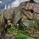 덕소자연사박물관 이미지