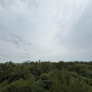 환상숲곶자왈공원 티스토리