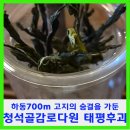 다원종합인테리어 - 강서구 남부순환로11가길 70 | 하동 700m 고지의 숨결을 가둔 청석골감로다원 태평후괴