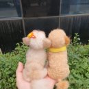 마음사진공방 이미지