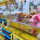 산호오락실 이미지