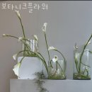 보타니크플라워 | 논현동꽃집 보타니크플라워 포장