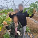 용두2리 마을회관 이미지