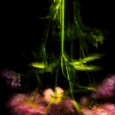 강석암 의원 이미지