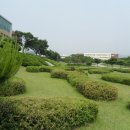 대구가톨릭대학교 이미지