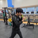 골든복싱 | 동탄복싱 취미로 시작했어요｜골든보이 복싱짐 아이 다닌 후기