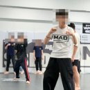 장산 팀매드 (팀매드 장산) 이미지