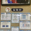 국가대표어린이수영클럽(마포) 이미지