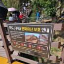 이비가짬뽕파주 | 2026년 여름 고성 송지호 바다하늘길 방문 후기