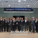 김유미 카카오 검색결과