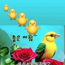 힐링스토리(Healing Story)