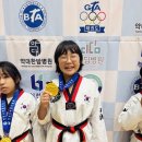 역곡태권도 이미지