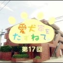 도그투게더(Dog together) 이미지