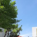 U.보라작은도서관 이미지