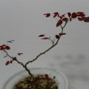 승빈농장 이미지