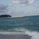 동해바다 이미지