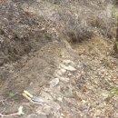 푸른솔 농장 이미지