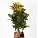 센텀장례식장 이미지