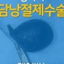 압구정 동물의료센터 이미지