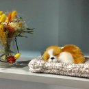 이회식한의원 이미지