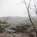 송산초교 이미지