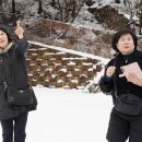 진안마원 이미지