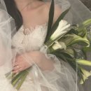 인천/부평/부천 부케전문 [ 부케 후기 모아보기 / 웨딩, 본식부케, 촬영부케 디자인 ] 부평구청 꽃집...