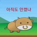 카우카우 - 원주시 천매봉길 106 | 카우카우