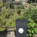 (주)비비프렌드 | 역 |커다란 나무와 높은 곳에서의 풍경이 너무 예쁜 야외 테라스 카페 '스태픽스' 호록후기 ⌯' ꇴ '⌯ಣ