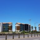 조천중학교 이미지