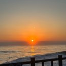 강릉 바다내음 캠핑장 이미지