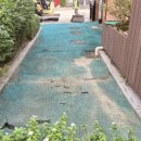 대림늘푸른어린이집 이미지