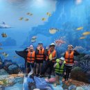 상원태권도장 이미지