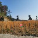 고성부동산중개사무소 이미지