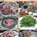 가야산생오리 이미지