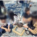 비룡영농조합법인 이미지