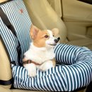 (주)대운코리아 이미지