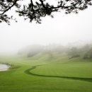 스카이밸리 이미지