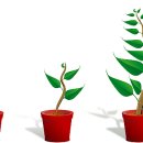 꿈과 현실의 거리 이미지