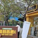 폰바꾸기좋은날 네이버블로그