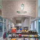 부산명지 대방디엠시티 센텀오션2차 상가 이미지