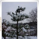 놀부농장 이미지