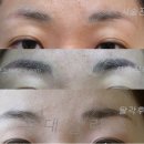 넬라스 이미지
